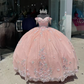 Shinny Vestido De 15 Años Princess Quinceanera Dresses With Applique Sequin Mexican Girls Sweet 15 Birthday Party Dress